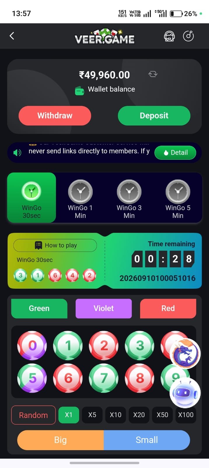 Veer Game Wallet – Instant UPI Withdrawals and Secure Transactions